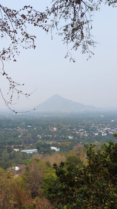 A high-angle view, potentially from a hilltop in or near Lâm Sơn, Vietnam, shows a landscape dominated by dense vegetation and buildings. A large hill stands in the distance, partially obscured by haze. In the foreground, the silhouettes of tree branches are seen on both the left and right sides. The vegetation transitions from sparse trees to dense green foliage closer to the viewpoint on the right. Buildings and houses can be seen scattered among the trees. A swimming pool is visible among the landscape. The sky is a pale blue.