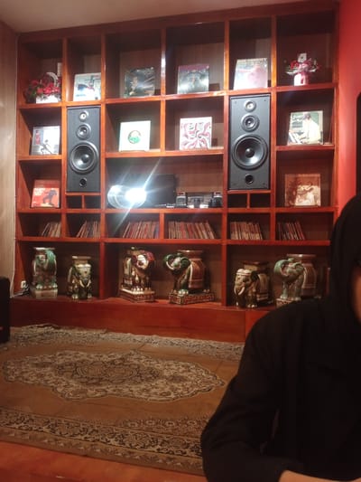 This image depicts an indoor bookshelf filled with records, speakers, and decorative items. The bookshelf is made of dark wood and is divided into several compartments. In the top row, there are records and decorative flowers. The middle row features two large black speakers, one on each side, with records and other items placed between them. The bottom row contains more records and decorative elephant statues. A patterned rug covers the floor in front of the bookshelf. In the foreground, a person wearing a black hooded sweatshirt is partially visible, with their right arm and shoulder in focus. The lighting suggests an interior setting, possibly a living room or a display area. The scene is likely located within a residence in Pontianak, Indonesia, given the provided context.