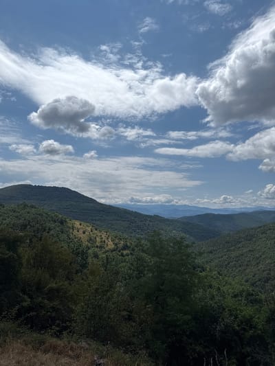 The image depicts a panoramic view of rolling, densely forested hills under a bright blue sky dotted with fluffy white clouds. The foreground features dry, brown grasses and some dark green foliage. The hills, covered in a variety of green trees, recede into the distance, with successive layers of mountains visible in the hazy blue background. A lighter patch of grassy terrain with scattered trees is visible on the slope of one of the nearer hills. The sky exhibits a dramatic arrangement of clouds, with large, billowy formations and thinner, wispy streaks. The scene appears to be a natural landscape, likely in a mountainous region, with no people or man-made structures immediately apparent. The location is identified as Manaselska Reka, Bulgaria.