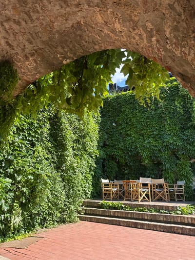 The image depicts an outdoor patio area within the city of Petrovaradin, Serbia, viewed from beneath a curved brick archway heavily draped with green ivy. The foreground features a red brick pavement leading to a set of three low, brick-faced steps. Beyond the steps, on an elevated platform also paved with red bricks, a circular wooden table is surrounded by six foldable wooden director's chairs with light-colored fabric seats and backs. The entire background consists of tall walls densely covered in vibrant green ivy, creating a verdant enclosure. A small, light-colored object, possibly a security camera or light, is mounted on the ivy-covered wall to the left of the table. A small patch of blue sky with white clouds is visible through gaps in the ivy above the walls and archway. The scene is brightly illuminated by sunlight, casting distinct shadows. No individuals are present.