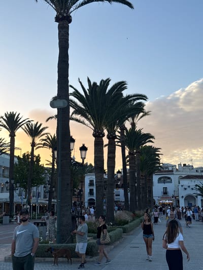 In Nerja, Spain, a street scene unfolds under a dusky sky, likely at sunset, with palm trees lining a pedestrian walkway. The foreground is occupied by a man wearing a grey t-shirt with a Nike logo and dark pants, standing with his hands in his pockets. To his right, another man in a light grey t-shirt and white shorts is walking a brown dog on a leash. Further down the walkway, several people are seen walking in various directions, some in groups and others individually.

The background features buildings with white facades, characteristic of Mediterranean architecture, and storefronts, including one with a sign that reads "VALENCIANO." Streetlights and decorative lamps are visible, suggesting it is a commercial or tourist area. The overall atmosphere appears relaxed, with people enjoying an evening stroll. The sky transitions from a light blue at the top to warm oranges and yellows near the horizon, indicating the end of the day. Clouds are present in the upper portion of the sky.