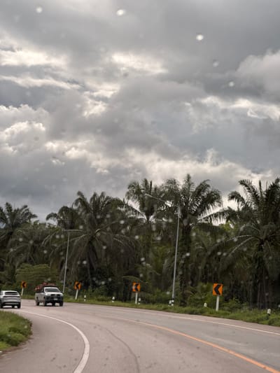 This image captures a rural road scene in Ban Thung Aok, Thailand. The sky is overcast with heavy, dark clouds, and there are numerous water droplets visible on the lens or window through which the photo was taken. A paved road curves through a landscape dominated by lush greenery, with numerous palm trees lining the sides. Two vehicles are visible on the road. In the foreground, a white SUV is traveling to the left. Further ahead and to the right, a silver pickup truck, laden with produce, is also moving forward. Several orange and black directional traffic signs indicating curves in the road are posted along the roadside. A street light stands tall among the palm trees on the left side of the road.