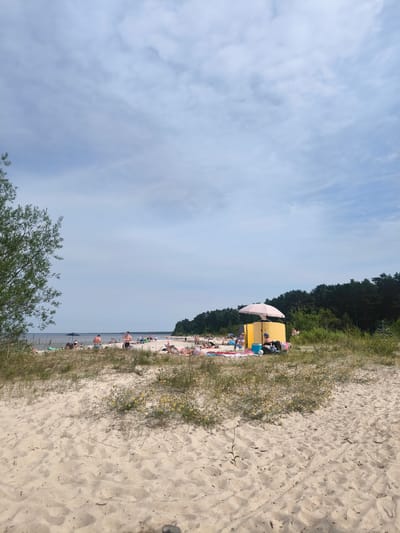 This image depicts a sandy beach in Bigauņciems, Latvia, on a cloudy day. The foreground is dominated by textured sand with sparse, low-lying green vegetation. Further back, the beach is populated with numerous individuals sunbathing, sitting, and strolling. Some are lying on towels or blankets, while others are standing or walking.
Prominently featured is a bright yellow lifeguard station or changing room with a pale pink umbrella providing shade. Several people are gathered around this structure. Beyond the beachgoers, a dense line of dark green pine trees forms a natural boundary. The Baltic Sea is visible in the distance, with a calm surface. The sky is a mix of light blue and white clouds. A large green tree with dense foliage is visible on the far left of the image.
