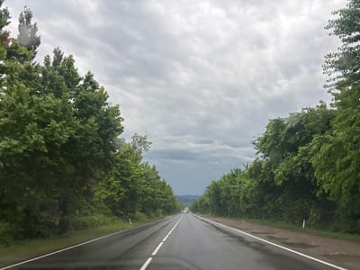 This is a front-facing, ground-level perspective photograph of a wet asphalt road disappearing into the distance under a heavily clouded sky. The road is lined on both sides by dense green trees, creating a tunnel-like effect. The sky is overcast with gray clouds, with some lighter patches suggesting it is daytime. In the distance, several vehicles are visible on the road. The environment appears to be rural or on the outskirts of a town, with no buildings or distinct urban features immediately visible. The road surface is wet, indicating recent rain, and there are some puddles visible on the shoulder. There are no people or animals visible in the frame.