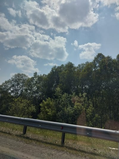 The image shows a roadside scene with lush green trees lining the right side, and a blue sky with fluffy white clouds filling the left. A grey metal guardrail runs diagonally across the foreground, separating the road from the trees. The road appears to be dirt or gravel, with some patchy green grass growing along the edge. The sun is shining, suggesting it's daytime. The trees are full of leaves, indicating it's likely spring or summer. The overall impression is one of a rural or natural setting, possibly a highway or country road in Russia, given the location context. There are no people or specific activities visible. The guardrail has a small red reflector on it.