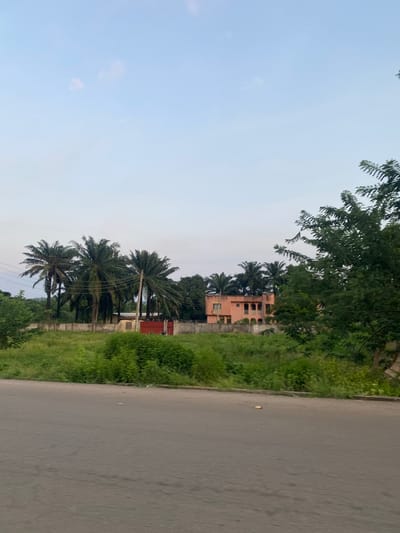 This image captures a roadside scene in the city of Enwan, Nigeria, under a pale blue sky with minimal, diffuse cloud cover. The bottom third of the frame is occupied by a grey asphalt road, which appears worn with slight variations in texture and color. A small, light-colored object rests on the road surface near the center.
On the left side of the midground, dense green foliage includes several tall palm trees. Overhead, multiple utility lines are strung horizontally, partially obscured by the trees. Behind the vegetation, a concrete wall topped with barbed wire extends horizontally. A small, light-colored building and a prominent red metal gate are visible behind this wall, with a dark-colored motorcycle partially discernible parked behind the gate.
To the right in the midground, a two-story residential building with a peach or light orange exterior stands. This structure features several arched windows and balconies. It is partially obscured by dense green trees and shrubs in the immediate foreground. The environment surrounding the road and structures is characterized by abundant, untamed green vegetation, including tall grasses and various shrubbery. No individuals are present or engaged in any activities within the visible scene.