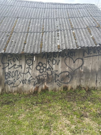 The image shows the side of a weathered wooden building with a corrugated roof. The roof is gray and covered with patches of moss. The building's wooden planks are stained and aged, and covered in black spray-painted graffiti, including "NEVER", a heart shape, a stick figure, a flower, and the words "Bronx, New York." To the right of the building is a patch of grass and weeds. The image suggests an abandoned or neglected building in an urban or rural environment. The city of Студзёнкаўскі сельскі Савет is not visible.