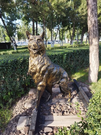 The photograph is a medium shot of a golden sculpture of a dog, likely a wolf or a German Shepherd, positioned outdoors in a park-like setting. The sculpture is in a seated posture, with its head tilted slightly upwards and its mouth open. It is intricately detailed, showing fur texture and musculature. The dog sculpture is placed on a base of railroad ties and gravel, suggesting a theme related to travel or a journey.
Behind the sculpture, a well-maintained, dark green hedge forms a backdrop. Beyond the hedge, a paved area with parked cars is visible, indicating an urban or suburban environment. Several tall trees with green foliage stand in the background, their trunks varying in thickness and color, with some having white paint near their bases. The lighting suggests it is daytime, with sunlight casting shadows. The overall scene appears to be a public space, possibly a park or a monument in the city of Kenbulun, Kyrgyzstan, given the context provided. There are no people or animals present in the immediate vicinity of the sculpture.