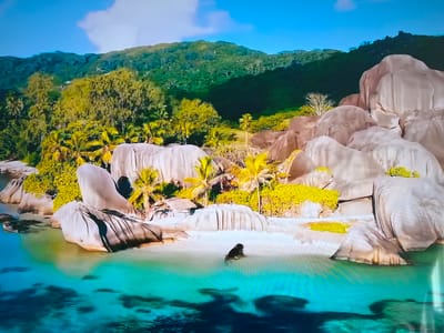 The image shows a tropical beach with large granite rock formations, lush green vegetation, and clear turquoise water. A dark-haired individual is partially submerged in the water near the sandy shore. Palm trees are visible amidst the rocks and vegetation. In the background, a forested hillside rises. The setting is a tropical beach landscape, and not the city of Basingstoke and Deane, United Kingdom.