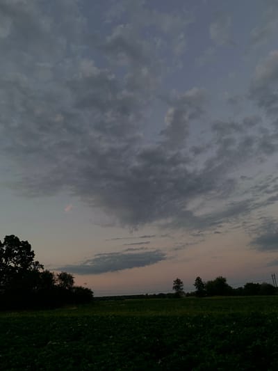 The image depicts a rural landscape at dusk in Nekrashi, Ukraine. The scene is dominated by a vast, cloudy sky transitioning from a pale blue on the left to a warm, peachy hue on the right, suggesting the sun is setting. Wispy, dark clouds are scattered across the sky, with some areas appearing more dense and textured than others.
In the foreground, a dark silhouette of trees frames the left side of the image, with their branches stark against the twilight sky. To the right of the trees, a large, dark green field of crops stretches into the distance. Small white specks within the field might be flowers or developing fruit. The horizon is marked by a line of trees and a faint suggestion of utility poles and wires, indicating the presence of infrastructure in the otherwise natural setting. The overall mood is serene and peaceful, evoking the quiet transition from day to night. There is no visible text in the image.