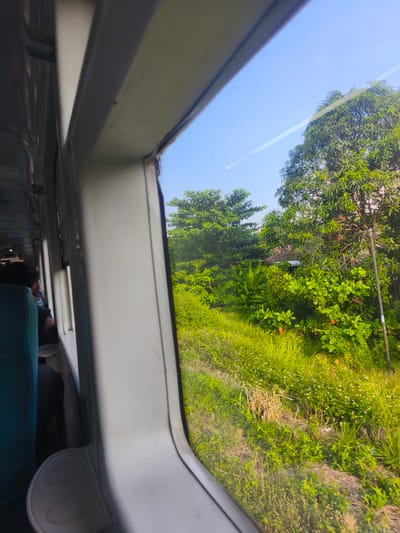 The image is a photograph taken from inside a train, looking out the window. The interior of the train carriage is visible on the left, with blue seats and the backs of passengers. The window frame is white and prominently features in the foreground, creating a strong diagonal line.

Outside the train, a lush green landscape is visible under a clear blue sky. Dense vegetation, including trees, bushes, and tall grass with small white flowers, fills the scene. There are hints of human habitation, such as a roofline peeking through the trees in the background. A thin white contrail is visible in the sky. Two orange flowers are visible in the grass in the middle ground. The scene suggests it is daytime, with bright sunlight casting shadows and illuminating the foliage. The overall mood is peaceful and conveys a sense of travel through a verdant rural area. The location context is Adidharma, Indonesia. There is no visible text in the image.