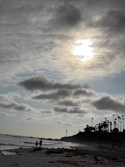This is a full-frame, vertical, medium-angle, silhouette shot of a beach in Laguna Beach, California. The sun is high in the sky, partially obscured by clouds. Two people are walking along the shore, with the ocean to their left. Palm trees line a cliff in the background.