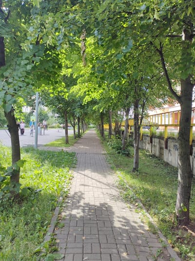 The image shows a brick pathway lined with trees on both sides. On the left, beyond the trees, is a playground area with some children and playground equipment. On the right, beyond the trees, is a concrete wall with a yellow railing on top, and a building with a red roof behind it. The scene is an outdoor urban environment, possibly a park or a residential area, in the city of Putilkovo, Russia. The pathway is shaded by the trees, with dappled sunlight on the bricks. The ground is covered with grass and some scattered leaves.