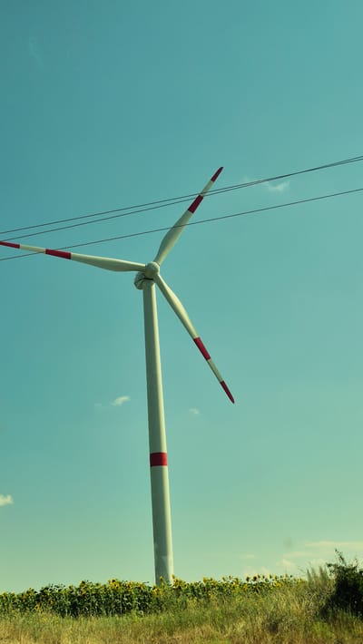 A lone wind turbine stands tall against a clear blue sky in Mihailovca, Moldova. The turbine's white shaft is accented with a red band, and its three white blades are tipped with red. Power lines stretch across the top of the frame, and a field of sunflowers blooms at the turbine's base, adding a splash of yellow to the grassy landscape. A single cloud drifts lazily in the distance.