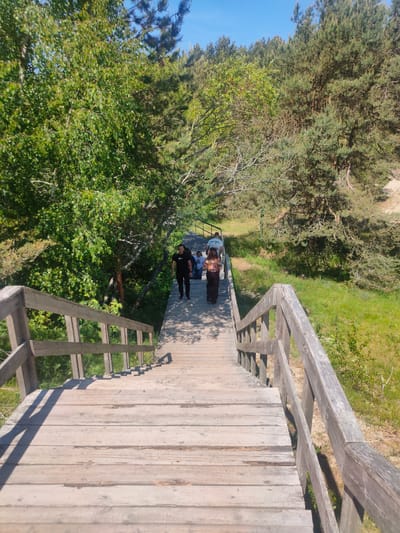 A wide, weathered wooden staircase descends through a forested area with dappled sunlight. Several people are walking down the stairs. In the foreground, the worn wooden planks of the stairs are visible, with a wooden railing on the right side. To the left, lush green trees and foliage line the staircase. Further down, more trees, including pines and deciduous trees, create a dense canopy. The background reveals a sandy area and more trees, suggesting a natural, possibly coastal, environment. The sky is clear and blue. The location is Morskoye, Russia.