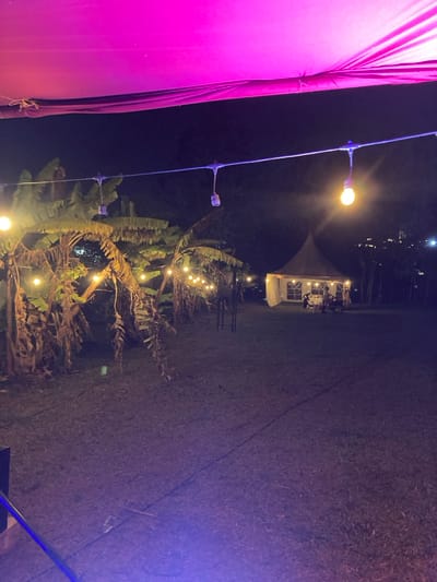 This image depicts an outdoor event space at night in Murera ward, Kenya. The scene is illuminated primarily by string lights featuring exposed, warm-toned bulbs, strung across a grassy area. A line of banana plants with visible dried foliage runs along the left side of the frame, also illuminated by the string lights. In the background, a white, conical tent stands erected on the grass, with tables and chairs visible inside, suggesting a gathering. A large magenta fabric canopy is partially visible across the top of the frame, casting a purplish light, particularly noticeable on a section of the string lights and the ground in the lower left. A dark cable or rope lies on the grass in the foreground. No individuals are visible in the scene.