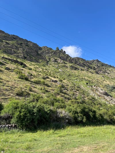The image captures a natural landscape dominated by a steep, rocky mountainside covered in sparse green vegetation and dry grass. The mountain slope is cut by the shadows of power lines that stretch across the clear blue sky. In the foreground, a lush green meadow is visible, with scattered bushes and rocks. The scene appears to be a remote, undeveloped area, consistent with the mountainous terrain of Tegenekli, Russia. There are no people or animals depicted in the image.