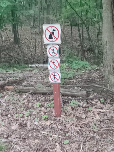 The media file depicts a set of four prohibition signs mounted on a wooden post in a wooded area. The signs are white with red circles and diagonal lines, indicating that certain activities are forbidden.
The top sign shows a silhouette of a dog, meaning "no dogs allowed." Below it, the next sign displays a silhouette of a person walking, indicating "no walking." The third sign from the top shows a person with an arrow pointing upwards, suggesting "no hiking." The bottom sign has a silhouette of a person with a cane, implying "no people with canes allowed" or potentially "no walking with a cane."
The setting is a forest floor covered with fallen leaves and some green foliage. Several fallen logs are visible in the background, further contributing to the natural, outdoor environment. The lighting suggests it is daytime, possibly overcast or shaded by the trees, as there are no strong shadows. The overall mood is one of regulation and restriction within a natural landscape. The signs are the central focus, emphasizing rules for visitors. The location is identified as Saint-Bruno-de-Montarville, Canada.