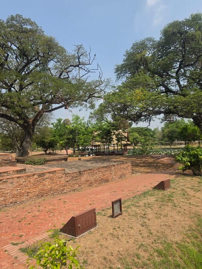 The image shows a path bordered by a low brick wall and large trees in the Historic City of Ayutthaya, Thailand. The path leads towards an area with structures that appear to be part of an ancient temple or ruin. The sky is a clear blue. The path is made of reddish-brown bricks. There are metal access points along the path. To one side of the path, the ground is covered with a mix of dry grass and green patches. Large trees with extensive branches frame the view.