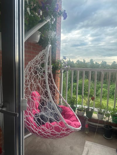 A white, woven hanging chair with a pink cushion and gray blanket is on a balcony. The chair is suspended from a white bracket attached to a brick wall. There are plants in pots on the balcony railing, and beyond the railing is a view of a forest and cloudy sky. A window frame and handle are visible on the left side of the image. The scene is outdoors, likely a residential balcony.