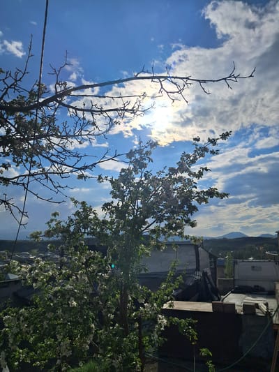 The image portrays a vibrant spring day in Artsvakar, Armenia, viewed from an elevated perspective looking out over a landscape. The upper portion of the frame is dominated by a clear, bright blue sky with scattered white, fluffy clouds. The sun, positioned in the upper left, shines intensely, creating a strong glare through a break in the clouds.
In the foreground, a prominent, bare deciduous tree with dark, intricate branches is silhouetted against the bright sky on the left. To its right and slightly behind, another tree is in full bloom, adorned with numerous small white blossoms and fresh green leaves, indicating springtime. More flowering bushes or trees with similar white blooms are visible towards the lower right, contributing to a lush, verdant atmosphere.
The background features distant, rolling mountains or hills that stretch along the horizon. Above these, towards the upper right of the frame, human structures are visible, including what appears to be a white utility van or truck parked beside buildings. The scene conveys a sense of natural beauty and renewal in a rural or semi-rural setting under clear, sunny weather. No specific activity or visible text is present.