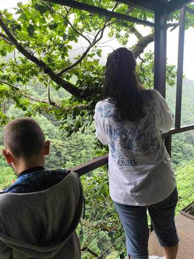 Two individuals are standing on a raised platform, looking out at a lush, mountainous landscape. A young boy, viewed from the back, is wearing a gray hooded sweatshirt over a patterned shirt. Beside him, a woman is also seen from the back, wearing a white t-shirt with a blue graphic design and dark capri pants. The platform appears to be made of wood and metal, with a railing. Trees with vibrant green foliage surround the platform, and the background reveals a dense forest covering rolling hills, shrouded in a light mist. The location is identified as the city of Satsiskvilo, Georgia.