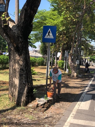 A person wearing a cap, a blue and white t-shirt, and dark pants is shown in a three-quarter shot, facing to the right. They are crouched down, tending to an orange pot with a plant. The scene is outdoors, with a street and a sidewalk visible. A blue sign with a white triangle containing a silhouette of a person walking is positioned to the left of the individual. The setting appears to be a park or a roadside area with trees and lush greenery. Sunlight casts shadows on the ground, suggesting it is daytime, likely morning or afternoon. The weather appears clear and sunny. In the background, there is a motorcycle parked on the side of the road, and more foliage. There are electrical poles and wires visible further down the road. A crosswalk is also visible on the asphalt. The ground is covered with dirt, stones, and some grass. The overall impression is of a casual outdoor scene, possibly in a tropical or subtropical environment given the vegetation. The person's activity appears to be simple gardening or maintenance. No discernible emotions are conveyed.