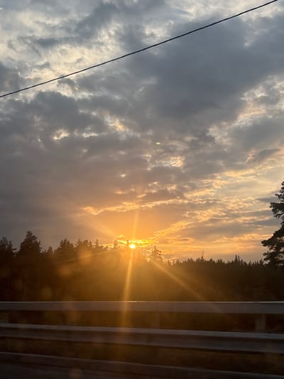 The image depicts a sunset over a forested area, presumably in the city of Dol "Luch", Russia. The sun is low on the horizon, casting golden rays through scattered clouds. The clouds are a mix of dark grey and lighter, illuminated by the setting sun. A thin black wire runs diagonally across the upper part of the frame. Silhouetted trees form a dense treeline across the middle ground. In the foreground, a grey metal guardrail is visible, suggesting the vantage point is from a road or bridge. The overall lighting is warm and atmospheric, characteristic of a sunset.