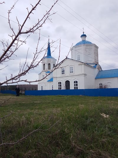 An outdoor, eye-level shot captures a white Russian Orthodox church with vibrant blue domes and spires under an overcast sky in Yablonovo, Russia. In the foreground, bare tree branches with visible buds partially frame the scene, suggesting early spring or late autumn. A wide expanse of green and brown grass fills the lower part of the image, leading towards a bright blue solid fence that runs horizontally, separating the grassy area from the church grounds.

To the left of the church, a person, likely female, dressed in dark clothing and a headscarf, walks along a path or dirt track beside the blue fence, heading away from the church. In the distance, a dark line of trees indicates a forest or wooded area.

The church features white plastered walls with multiple rectangular windows, some of which have arched tops. The main structure boasts a large, rounded blue dome crowned with a small cross, while a taller, pointed blue spire with a cross rises from a separate tower, likely a bell tower. The white walls show signs of wear and weathering. Thin utility wires are visible stretching across the cloudy sky above the church. The time of day is daytime, under a dull, overcast sky, contributing to a muted and serene atmosphere. No visible text is present.