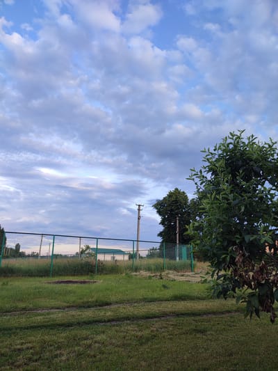 A wide shot captures a rural landscape in Voskobiinyky, Ukraine, under a partly cloudy sky. A chain-link fence with green posts runs horizontally across the mid-ground, separating a grassy yard from a field of tall, dry grass. Beyond the fence, a light-colored building with a green roof is partially visible. Two utility poles stand in the distance, one with visible wires. In the foreground, a well-maintained lawn is cut, with tire tracks indicating recent activity. To the right, a large, leafy green tree with some dried brown leaves dominates the frame. The overall scene suggests a serene, possibly late afternoon setting.