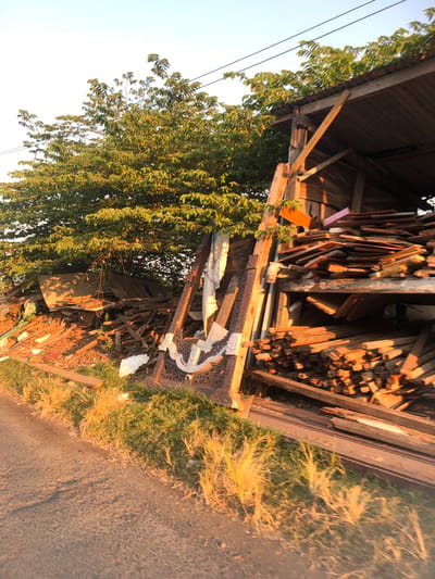 This image depicts an outdoor scene at what appears to be a construction or scrap wood storage area, likely located near Keboguyang, Indonesia. The time of day suggests late afternoon or early evening, as indicated by the warm, golden light illuminating the scene and casting long shadows. In the foreground, a dirt path runs along the left side of the image, bordered by tall, dry grass.
The primary focus of the image is a rustic wooden structure, possibly a makeshift shed or shelter, filled with a large quantity of lumber and wooden planks. The wood is stacked haphazardly, with various sizes and types of timber visible. Some pieces are long and slender, while others are shorter and thicker. The structure itself appears weathered, with corrugated metal roofing and exposed wooden beams.
Behind the shed, a dense green tree provides a backdrop, its leaves catching the sunlight. A white cloth or tarp is draped over some of the wooden debris near the shed. To the left of the shed, more piles of wood and construction debris are scattered on the ground. The overall impression is one of a utilitarian space, possibly a yard for storing salvaged or unprocessed wood. No people are visible in the frame. The environment appears rural or semi-rural, with a clear sky and hints of vegetation.