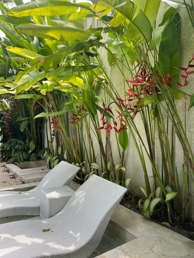 The image presents a scene in Buduk, Indonesia, featuring a garden with lush, vibrant foliage including large green banana-like leaves and red Heliconia flowers. A white wicker patio lounge chair sits near a white stone wall, blending with the light backdrop. The greenery is abundant, creating a tropical, garden-like environment near the chair.