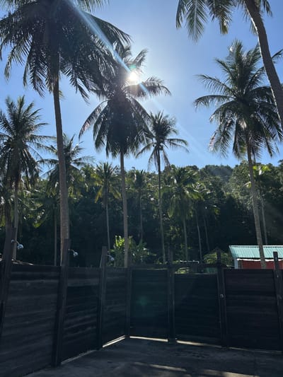 The image depicts an outdoor scene under a bright, sunny sky, characterized by lush tropical foliage and a clear blue sky. In the foreground, a dark wooden fence, possibly part of an outdoor shower facility, stretches across the frame. Several shower heads are visible mounted on wooden posts above the fence. Beyond the fence, numerous palm trees with fronds reaching towards the sky dominate the landscape. The sunlight beams through the palm fronds, creating lens flare effects. In the background, a dense forest covers a hillside, and a small building with a teal roof and red walls is partially visible. The location is identified as Ban Khlong Hia, Thailand. There are no people visible in the image.