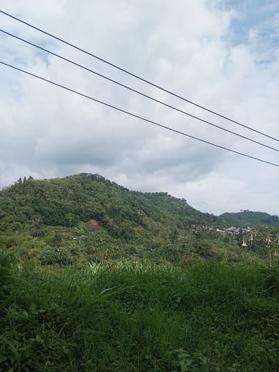 Lush green landscape with a hill covered in dense vegetation under a cloudy sky. Tall grasses fill the foreground. Power lines run across the top of the frame. A small village nestled among the trees is visible in the distance. The scene conveys a sense of tranquility and natural beauty, slightly obscured by human infrastructure.