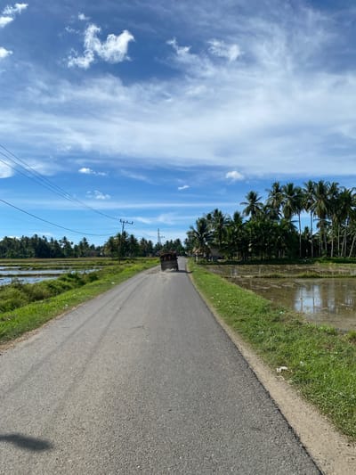 An eye-level, slightly elevated, full shot captures a rural road in Payarangkuluh, Indonesia, under a partly cloudy sky. The asphalt road stretches into the distance, flanked by lush green grass and flooded rice paddies. A dark-colored truck, loaded with cargo, travels away from the viewer down the road. In the background, a dense line of palm trees borders the landscape, with a few small structures interspersed among them. Power lines stretch diagonally across the upper left portion of the frame, supported by utility poles. The scene is bright, with sunlight casting shadows on the road.