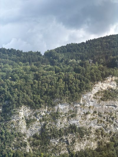 The image displays a natural landscape with a steep, rocky cliff face covered in sparse vegetation on the right side. A dense forest of green trees lines the lower portion of the cliff and extends outwards to the left. The sky, partially visible on the far left, is overcast with thick, grey clouds, suggesting a cloudy day. In the distance, a tall, white power line tower is visible against the cloudy sky. The image is oriented vertically, with the cliff and forest occupying the majority of the frame. The scene appears to be located in a mountainous or hilly region.