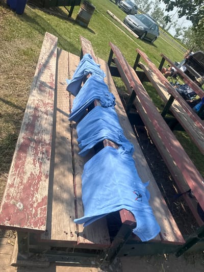 In AB, Canada, on a sunny day, blue shirts are laid out on a weathered wooden bleacher. The bleacher has a red and worn paint finish. In the background, green grass and trees are visible. Further back, several cars are parked on a paved area. Two individuals are seated on a lower bleacher, one wearing a hat.