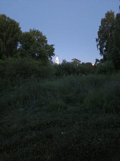 The image depicts a twilight scene with a clear, deep blue sky overhead. In the foreground, a field of tall, dark green grass and foliage occupies the lower half of the frame. Beyond this grassy expanse, a line of dense trees and bushes creates a natural barrier. Peeking above the treeline in the distance, a white church steeple with a pointed roof is illuminated by artificial light, standing out against the darkening sky. The overall impression is one of a peaceful, rural or semi-rural setting at dusk. The church in the distance could be a landmark visible from the outskirts of Buy, Russia, given the visual cues of a predominantly natural landscape dotted with a prominent religious structure.