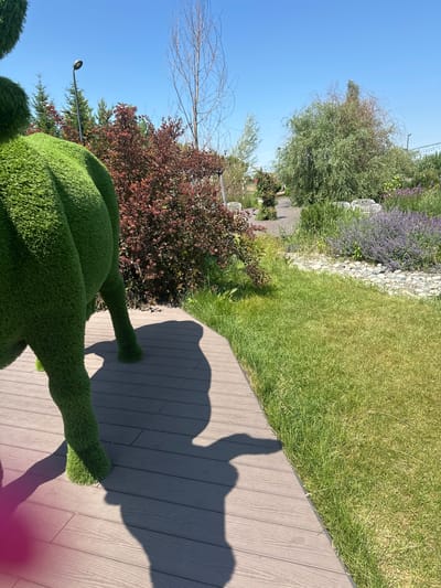 The image depicts an outdoor scene with a sculpture of a green animal, likely made of artificial grass, in the foreground on a wooden deck. The sculpture's legs and rear are visible, casting a shadow on the deck. Beyond the deck is a well-maintained garden with various plants, including purple flowers, shrubs with dark red leaves, and trees. A pathway made of stones separates the grassy area from the planted beds. In the background, there are more trees, a streetlamp, and a clear blue sky. The location is identified as Металлплощадка, Russia.