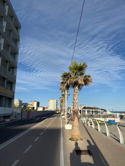 In Vallecrosia al Mare, Italy, a paved pathway runs alongside a road, bordered by a modern, multi-story building on the left and a row of palm trees and buildings on the right. The pathway is marked with white dashed lines, indicating a bike lane. A lone cyclist in a neon yellow shirt is visible on the pathway in the distance. The sky is a vibrant blue, with wispy white clouds creating a textured pattern. The scene is bathed in sunlight, casting long shadows from the palm trees. A small section of beach with seating and umbrellas is visible beyond the pathway.