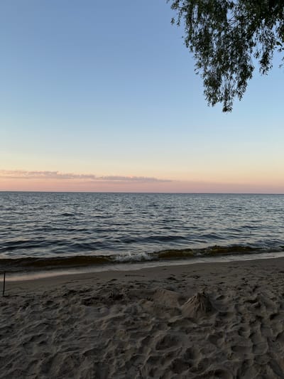This is a vertically oriented, wide-angle photograph of a beach scene at what appears to be either sunrise or sunset. The image is divided into three distinct horizontal bands: sky, water, and sand.

The left side of the image is dominated by the sky, which transitions from a pale blue at the top to a soft gradient of peach and pink hues near the horizon. A few wispy clouds are visible along this gradient. In the upper left corner, the dark, leafy branches of a tree extend into the frame, obscuring a small portion of the sky.

The middle section of the image features a body of water, likely a lake or sea, with small, rhythmic waves lapping at the shore. The water's surface reflects the soft colors of the sky, creating a textured pattern of light and shadow. A thin, dark vertical line, possibly a distant pole or marker, is visible in the water.

The right side of the image displays a sandy beach. The sand is textured with numerous footprints and small mounds, suggesting it has been recently disturbed. The color of the sand is a muted, dark tone, possibly due to low light conditions or the presence of dampness.

The overall mood of the photograph is serene and peaceful, evoking a sense of calm observation of nature. The lighting suggests a transitional period of the day, either dawn or dusk. There is no text visible in the image. The location context is Lyutizh, Ukraine, which implies a freshwater body like a reservoir or a river rather than a sea.
