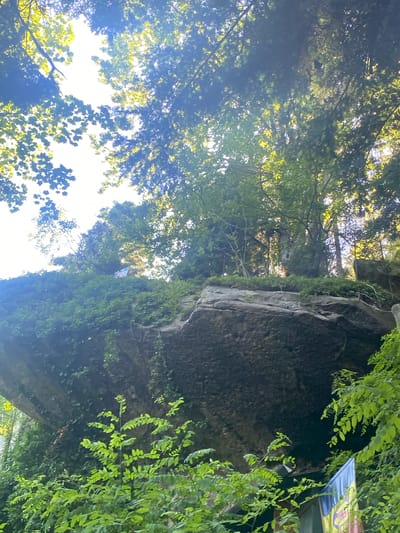 The image shows a large, overhanging rock formation covered in lush green foliage. Sunlight filters through the dense canopy of trees above, creating dappled light and shadows on the rock and surrounding vegetation. A partially visible flag with blue and yellow colors is attached to a structure at the base of the rock on the right side of the frame. The scene appears to be a natural outdoor environment, likely a park or forested area, possibly near Agapia, Romania, given the mention of the location. There are no people clearly visible in the image.