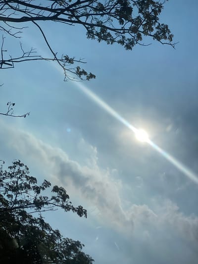 The image shows a sky with some clouds and tree branches. The sun is visible as a bright light in the sky, casting a beam across the scene. The location is identified as Mandar Sari, Indonesia. There are no people or specific actions depicted in the image. The environment is primarily the sky and foliage.