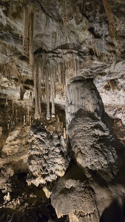 The image depicts the interior of a cave, specifically showcasing a complex formation of stalactites and stalagmites. The scene is illuminated by artificial light, creating dramatic shadows and highlighting the textured surfaces of the rock formations. The cave walls are rough and layered, with visible striations that suggest geological processes over time.
The prominent subjects are the diverse mineral formations hanging from the ceiling (stalactites) and rising from the floor (stalagmites). These range from thin, delicate icicle-like structures to larger, more bulbous formations. Some stalactites appear to have merged with stalagmites, forming columns. The overall impression is one of natural artistry, sculpted by water and minerals over millennia.
There are no people or visible objects other than the natural cave features. The activity is none, as it's a static scene of geological formations. The lighting suggests it's a tourist-accessible cave, likely visited during the day, although the time of day is not discernible within the cave itself. The location is indicated as Vavřinec, Czechia. There is no visible text in the image. The mood is one of awe and wonder at the natural formations and the vastness of geological time.
