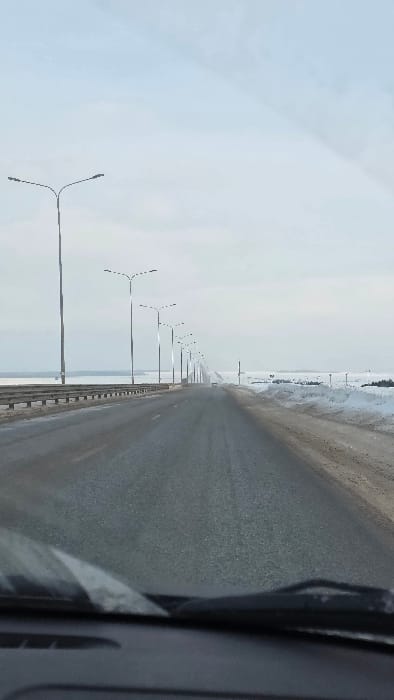The image depicts a straight, two-lane asphalt road extending into the distance under an overcast sky in Nizhnie Tigany, Russia, captured from the interior of a vehicle. The bottom of the vehicle's dashboard and a portion of the windshield with wipers are visible in the foreground. The road surface appears dark, possibly wet or with residual moisture/slush. To the left of the road, a metal guardrail runs parallel to the asphalt, beyond which lies a vast, flat, snow-covered expanse, likely a frozen body of water or land. A series of streetlights, each featuring a dual-arm design, are spaced uniformly along the left side of the road, receding with perspective. To the right, the road is bordered by a snow-covered shoulder with uneven snow accumulation and some exposed dark ground or vegetation. In the far distance, a small, indistinct vehicle is visible on the road. No individuals are present in the scene.