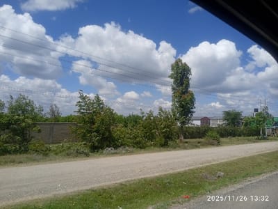 The image displays an outdoor scene in Kaputiei North ward, Kenya, captured on 2025/11/26 at 13:32. The foreground features an unpaved dirt road extending horizontally across the lower third, bordered by a strip of green grass and scattered vegetation. Red debris is visible on the grass in the bottom center. A light-colored concrete block wall is partially obscured by dense green foliage on the left side of the road. A tall, slender tree with green leaves stands prominently on the right side of the road. Overhead, multiple parallel utility lines traverse the blue sky, which contains scattered white cumulus clouds. In the mid-distance and background, several buildings with light-colored walls and dark, possibly red, roofs are visible beyond a line of trees. One structure in the far background is topped with a black water tank. Utility poles are present on the far right of the scene. No individuals, vehicles, or animals are visible.