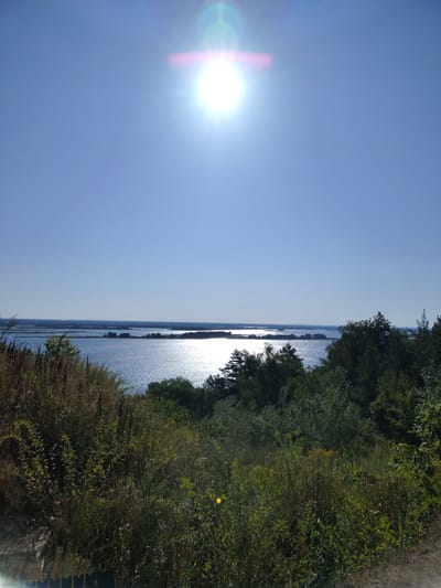 A panoramic view from an elevated position overlooks a wide, shimmering body of water, likely a lake or a river, under a clear blue sky. The sun is high and bright, creating a lens flare that extends across the upper portion of the image. In the foreground, dense vegetation, including tall grasses and leafy bushes, dominates the lower third of the frame. Beyond the vegetation, a line of trees forms a darker green border against the bright water. Several small islands or peninsulas are visible across the water, dotted with trees. The horizon is a thin, hazy line separating the water from a distant, low-lying landmass. The overall scene suggests a natural landscape on a sunny day. The image is of the Staiky area in Ukraine, known for its natural beauty and proximity to water bodies.