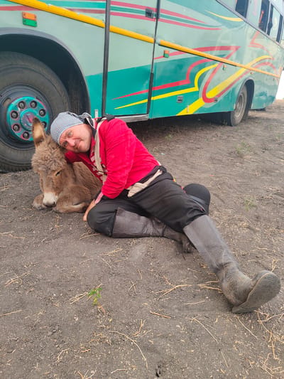 In Kottalapalli, India, an adult male, wearing a patterned head covering, a red long-sleeved garment, black trousers, and tall dark boots, is seated on dark, unpaved ground. He leans his head against a small, brown, furry donkey that is lying on the ground beside him. The man is looking directly at the viewer with a slight smile. A large, teal-colored bus with red, yellow, and green decorative stripes is parked directly behind them; its front left wheel and tire are partially visible. The ground consists of loose dark soil with scattered dry grass fragments and small green sprouts.