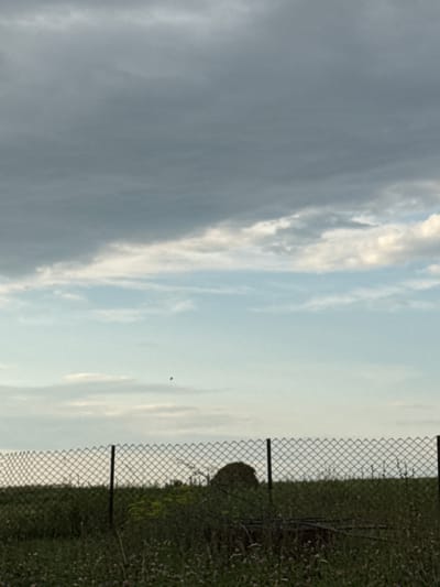 An outdoor, vertical, medium shot captures a chain-link fence in the foreground, stretching horizontally across the lower third of the frame. Beyond the fence, a field of green grass with scattered purple flowers and some yellow vegetation is visible. In the middle ground, slightly to the left of center, is a dark, rounded object, possibly a hay bale or a mound of earth. Two thin, vertical posts support the fence. The background consists of the sky, which transitions from a pale blue at the horizon to a darker gray with clouds near the top of the frame. Two small, dark, flying objects are visible in the sky, one in the upper left quadrant and another in the middle right. The overall lighting suggests it may be late afternoon or early evening, with overcast conditions. The image appears to be taken in Ямашево, Russia.