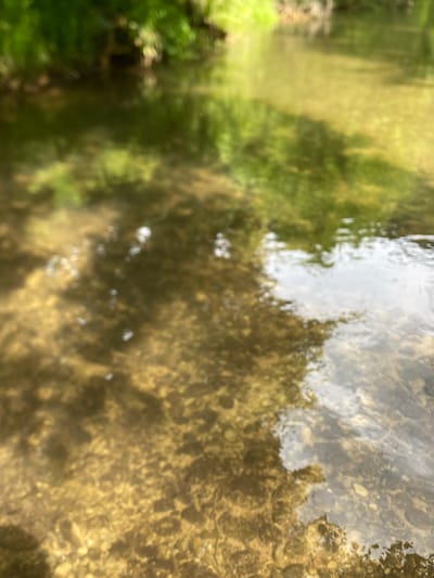 The image shows a shallow, clear creek with a gravelly bottom. Green foliage, likely trees, overhang the creek on the left side, casting dappled shadows on the water's surface and bottom. The water is reflecting the surrounding greenery. The scene is outdoors, natural, and appears to be in a rural or park-like setting. No people, specific objects, or actions are discernible. The location in Paracin Municipality, Serbia, is not visually evident from the image itself but is provided as contextual information.